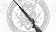 Steyr Luxus 7×64
