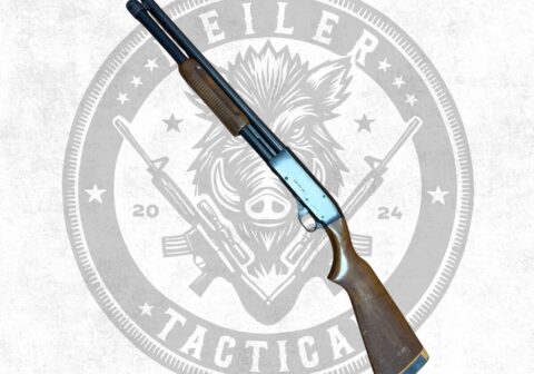 CBC M586-P