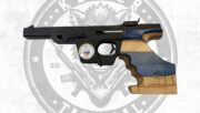 Walther GSP