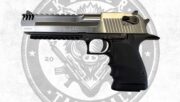 Desert Eagle XIX 5″ IMB Brushed Chrome L5