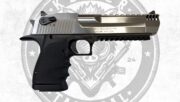 Desert Eagle XIX 5″ IMB Brushed Chrome L5